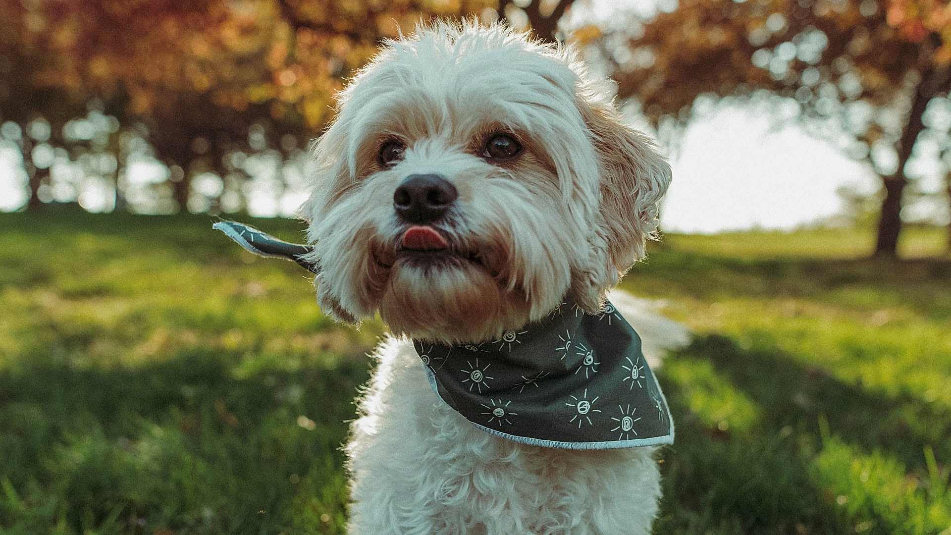 attachment 10 - Blog