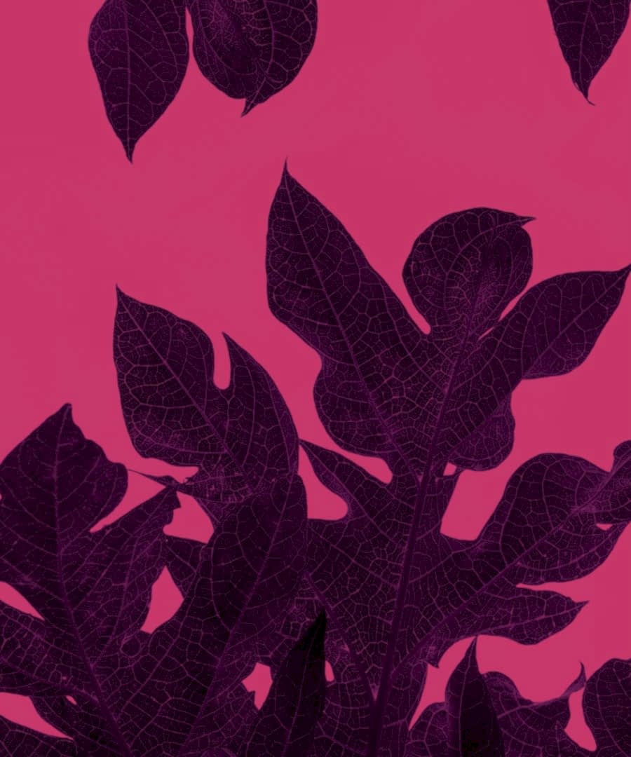 attatchment 15 - Anasayfa